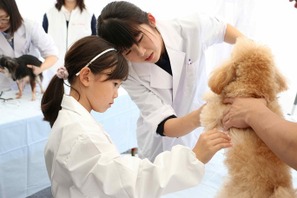 獣医師について学ぼう、動物ふれあいイベント10/3 画像