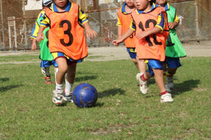 元日本代表の森島氏に学ぶ無料「子ども人権サッカー教室」1/30 画像