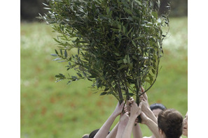 【GW2016】当日参加OK、オリーブを運ぶ「植樹リレー」目黒区・自由が丘 画像