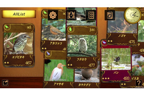 500種類のオリジナル動画配信、図鑑アプリ「動く野鳥コレクション」 画像