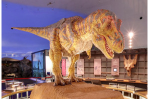 親子で本物を体験「恐竜博士体験ツアーin恐竜王国福井」販売開始 画像