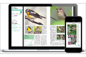 生物図鑑が読み放題、電子書籍「図鑑.jp」無料お試し5/31まで 画像