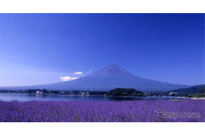富士山・富士急ハイランド線、成田空港発直行バスが60分短縮 画像