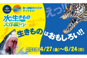 【GW2018】すみだ水族館×動く図鑑MOVE「水の生きもの大作戦！」4/27-6/24 画像