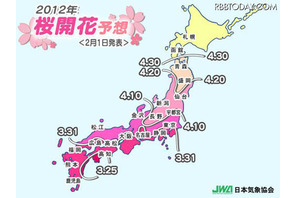 桜の開花、平年より遅いか平年並みで東京は3/30頃 画像