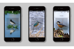 スマホをかざすだけで鳥の名前を一発表示、かざすAI図鑑 画像