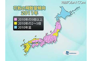 2011年の花粉量予想、昨季比東京8倍、関西10倍超も 画像