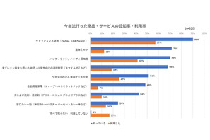 2019年子育て層に流行った商品・サービスは？ 画像