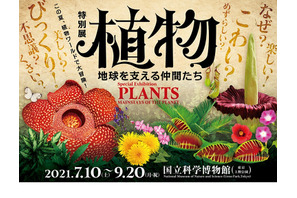 植物の実像や魅力に迫る特別展、国立科学博物館7/10開幕 画像