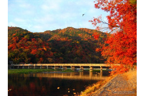 北日本は紅葉シーズンへ…ウェザーニューズ「見頃予想」 画像