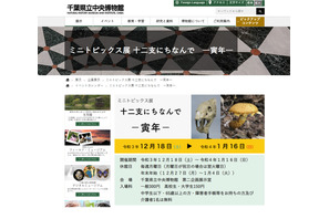 千葉県立中央博物館、十二支にちなんで「寅年」開催 画像