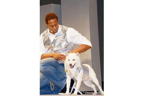 総合1位は2年連続で「お父さん犬」…PRキャラクターブランド調査 画像