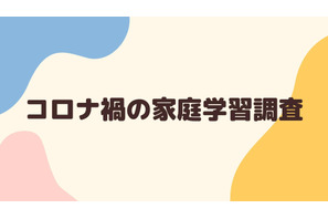 コロナ禍の家庭学習費、世帯収入で差…格差拡大を懸念 画像