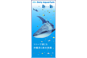 銀座に沖縄「美ら海」の魚たちが登場…7/16より「45th Sony Aquarium」開催 画像