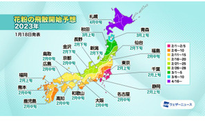 スギ花粉、2月上旬に飛散開始…関東や西日本を中心に増加 画像