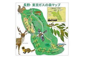 東京ガスが秋の体験型環境スクールを開催、森の生きものを大調査10/20 画像
