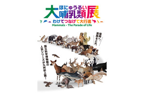 【夏休み2024】福岡市博物館「大哺乳類展」7-8月 画像