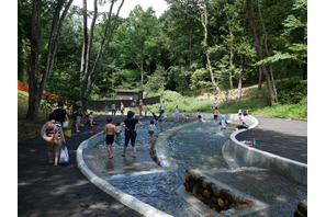 【夏休み2024】国営武蔵丘陵森林公園、水遊び場オープン 画像