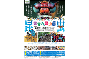 【夏休み2024】秋田県立博物館「世界の昆虫展」8/25まで 画像