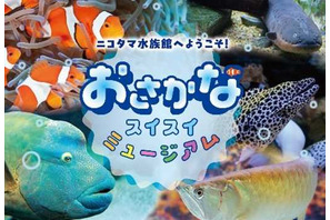 【夏休み2024】玉川高島屋S・C「ニコタマ水族館」8/16-9/1 画像