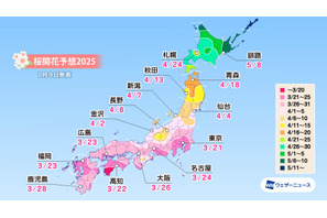 桜開花、3/21東京から開始…北日本は早まる予想 画像