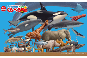 小学館「くらべる図鑑」が実物大に…神戸で夏の特別展 画像