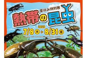 【夏休み2025】世界最大級のカブトムシに会える…板橋の植物館で特別展 画像