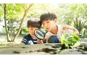 【夏休み2025】小中学生の自由研究テーマ紹介…明光プラス 画像