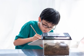 【夏休み2025】自由研究、親はどこまでサポート？84%の家庭が実践する子供主体の進め方 画像