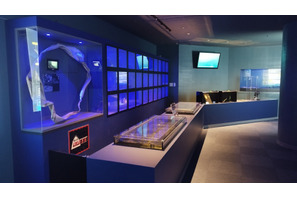 シーパラが自由研究をお助け、飼育員直伝の海の生き物講座や体験プログラム 画像