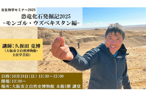 大阪市立自然史博物館「化石を楽しむ2025」10/18-11/16 画像