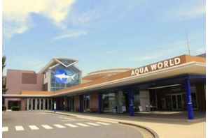 JR東日本、親子向け「アクアワールド・大洗の旅」第2弾2/14 画像