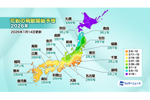 花粉飛散量は平年比128%、2026年は北日本で大幅増加の予想 画像