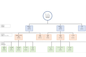 中高生サッカー、脳振盪の受傷メカニズムと予防策を分析 画像