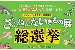 サンシャイン水族館「ざんねんないきもの総選挙」8/23まで 画像