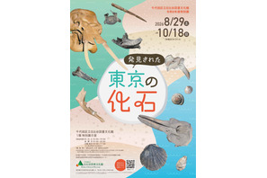 特別展「発見された東京の化石」日比谷図書文化館で8/29から 画像