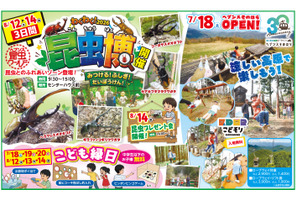 【夏休み2026】約100匹が集結「昆虫博」富士見台高原 画像