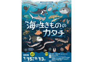 【夏休み2026】みなと科学館「海の生きもののカタチ」企画展9/13まで…実寸大エイも 画像