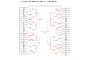 高校サッカー男子インターハイ、4強に近大附属と大津 画像