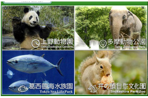 都立動物園・水族園「Visit　ほっと　Zoo　2013」…12/15からプレイベント開催 画像