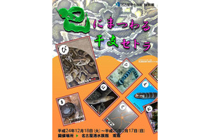 名古屋港水族館が干支展「ヘビにまつわる干支セトラ」…2/17まで開催 画像