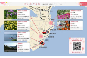 スマホでクーポン取得、NTTと伊豆急がO2Oで伊豆の観光客を支援 画像