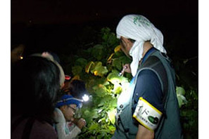 葛西臨海公園、夜の鳥類園を探検するナイトウォッチングを開催 画像