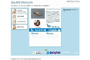 NECがカルガモの生態をネット生中継、ヒナ誕生も 画像