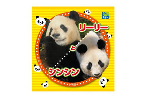 上野動物園園長が撮影、パンダの写真絵本「リーリーとシンシン」 画像