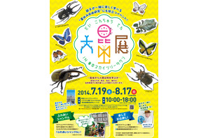 【夏休み】東京スカイツリータウン「大昆虫展」開催中、200匹のカブトムシと触れ合える 画像