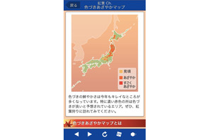 絶好のタイミングで紅葉狩りが楽しめるスマホアプリ 画像