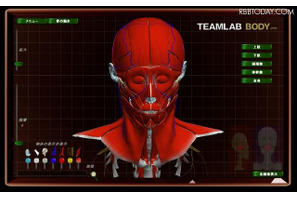人間の動きを全方位再現、3D人体解剖サイトが無料一般公開 画像