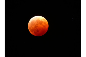 赤黒い満月と夜桜…4/4皆既月食まとめ 画像