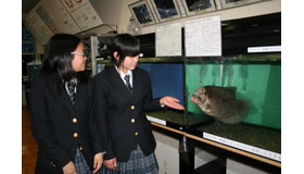 埼玉県立桶川西高校は校内に水族館を設け公開する活動で受賞した